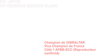 Dysplasie des Hanches HDA Dysplasie des coudes ED0 MDR1 +/+ (non porteur) DM N/N (non porteur) Dentition complte en ciseaux ADN Champion de GIBRALTAR Vice Champion de France Ct 1 AFBB-SCC (Reproducteur confirm)              CH. JAYCE  OF TREBONS BERGER BLANC