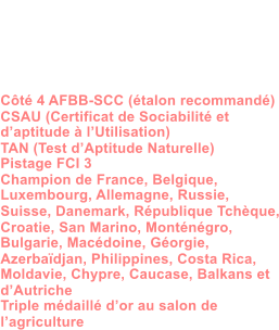Dysplasie des Hanches HDA Dysplasie des coudes ED0 MDR1 +/+ DM N/N  Dentition complte en ciseaux ADN Ct 4 AFBB-SCC (talon recommand) CSAU (Certificat de Sociabilit et daptitude  lUtilisation) TAN (Test dAptitude Naturelle) Pistage FCI 3 Champion de France, Belgique, Luxembourg, Allemagne, Russie, Suisse, Danemark, Rpublique Tchque, Croatie, San Marino, Montngro, Bulgarie, Macdoine, Gorgie,  Azerbadjan, Philippines, Costa Rica, Moldavie, Chypre, Caucase, Balkans et  dAutriche Triple mdaill dor au salon de  lagriculture